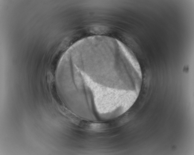 X0000113220371200910221130
