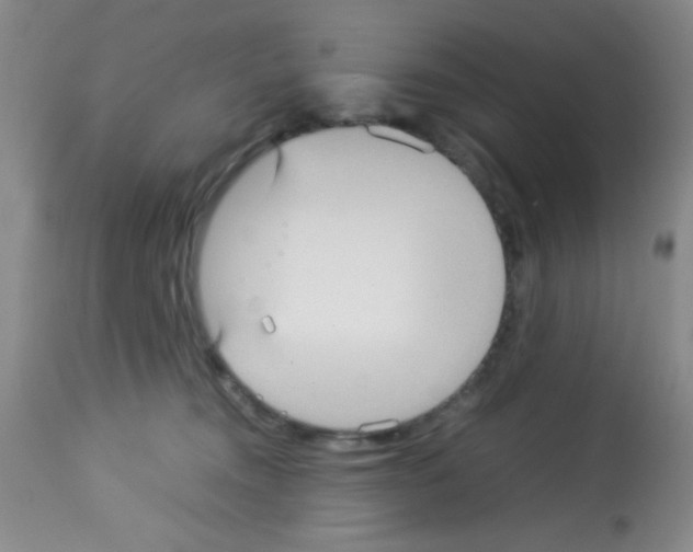X0000113220372200910221130