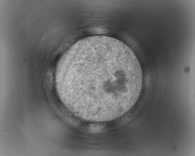 X0000113220373200910221130