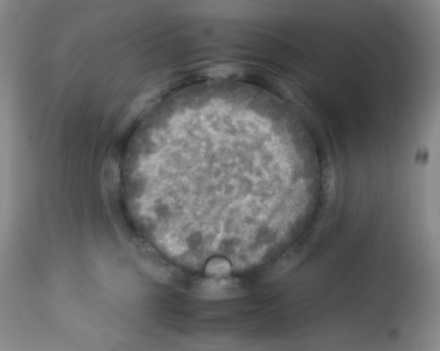 X0000113220375200910221130