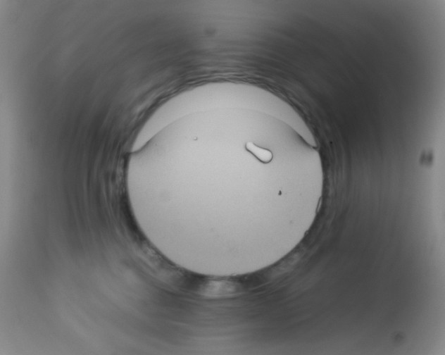 X0000113220376200910221130