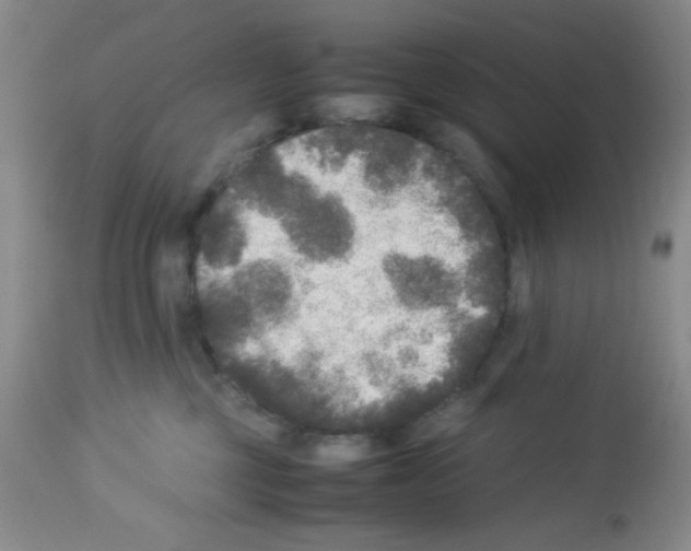 X0000113220377200910221130