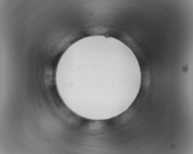 X0000113220378200910221130