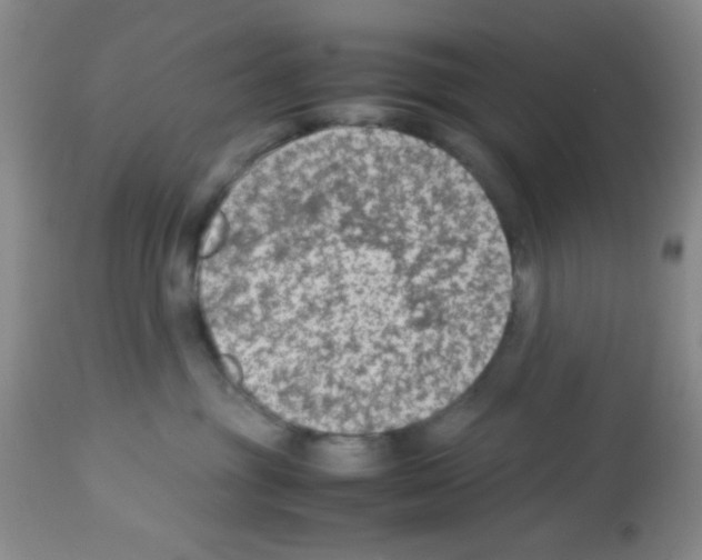 X0000113220381200910221130