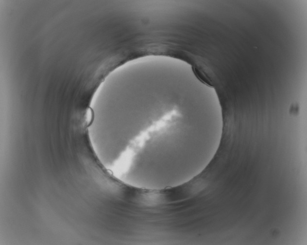 X0000113220383200910221130