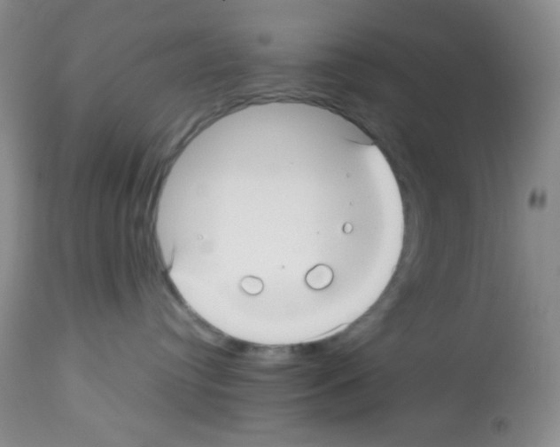 X0000113220384200910221130