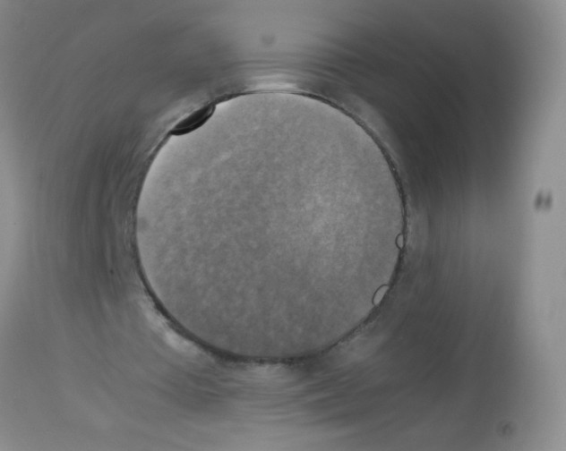 X0000113220385200910221129