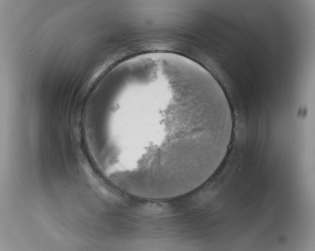 X0000113220386200910221129