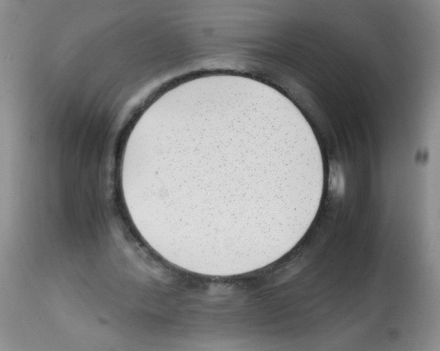 X0000113220388200910221129