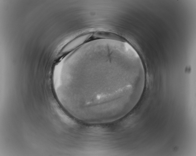 X0000113220389200910221129