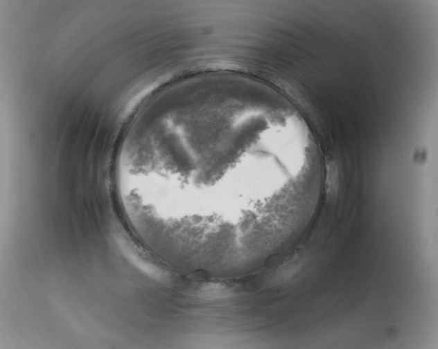 X0000113220390200910221129