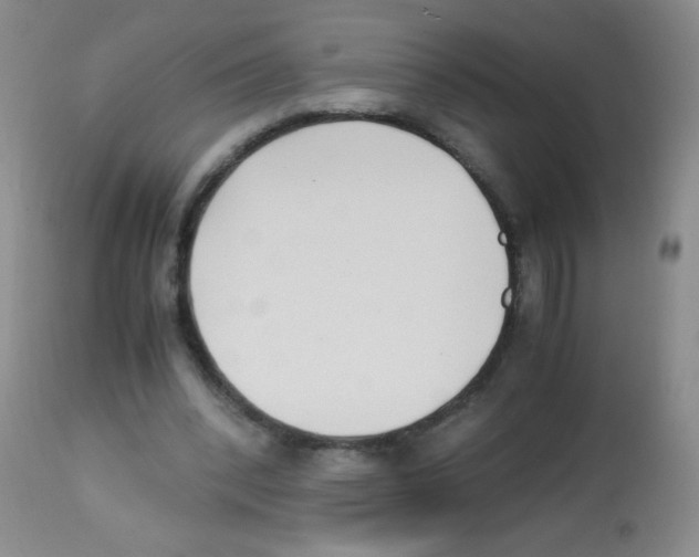 X0000113220392200910221129