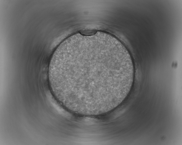 X0000113220393200910221129
