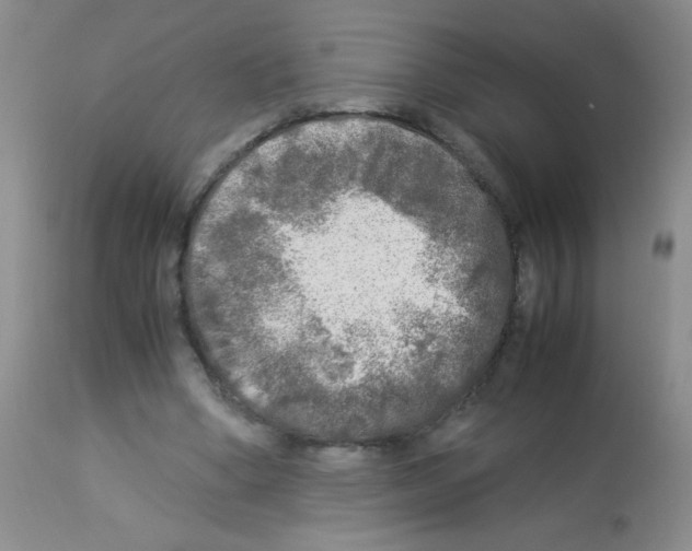 X0000113220394200910221129