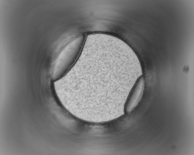 X0000113220395200910221129