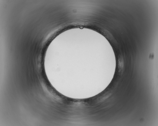 X0000113220396200910221129