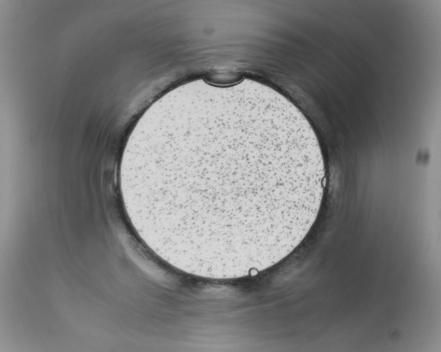 X0000113220397200910221129