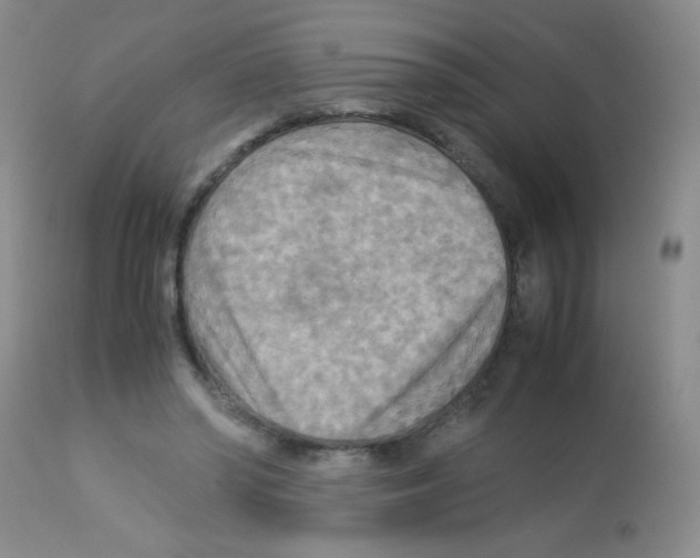 X0000113220398200910221129