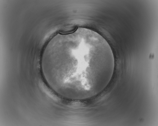 X0000113220399200910221129