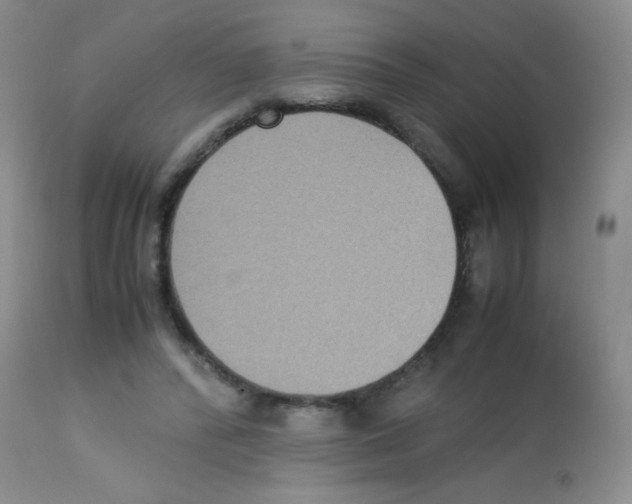X0000113220400200910221129