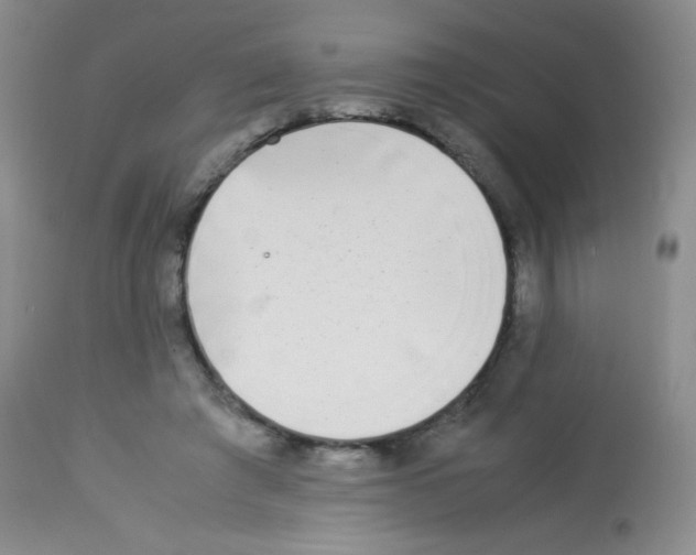 X0000113220401200910221129