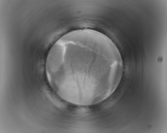 X0000113220402200910221129