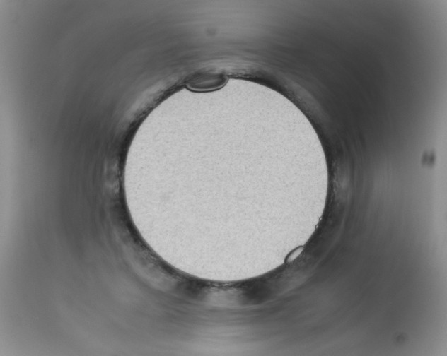 X0000113220403200910221129