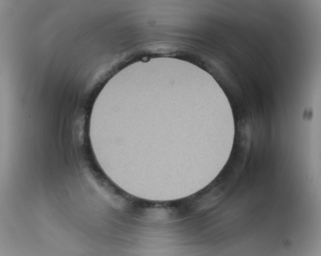 X0000113220404200910221129