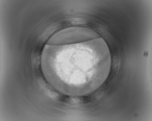 X0000113220405200910221129