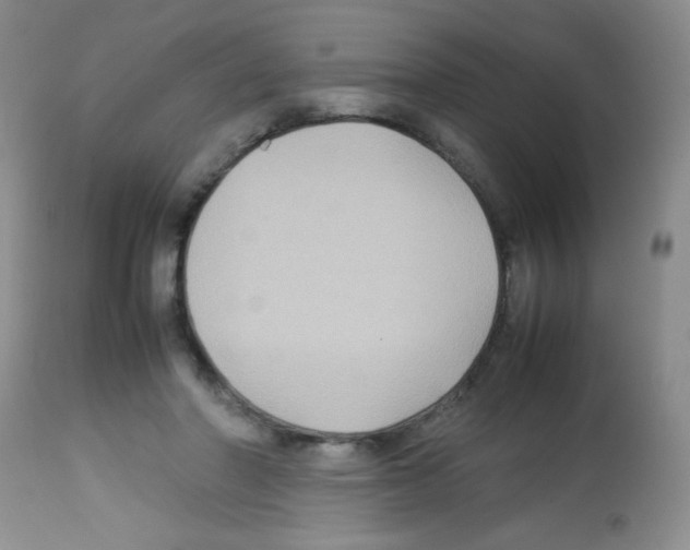 X0000113220406200910221129