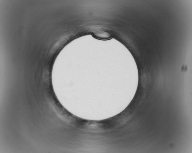 X0000113220407200910221129
