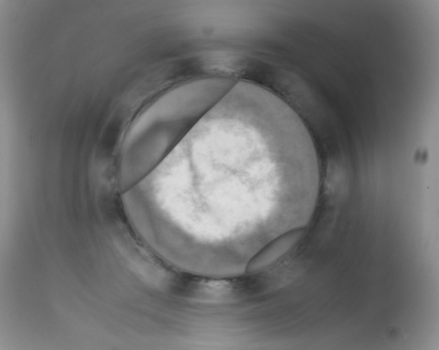 X0000113220409200910221129
