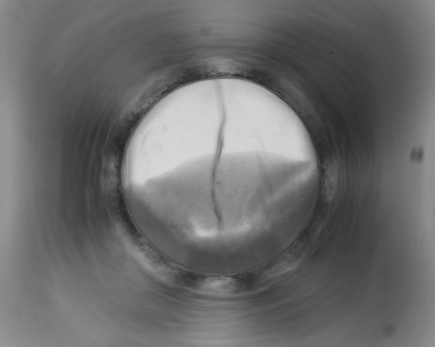 X0000113220410200910221129