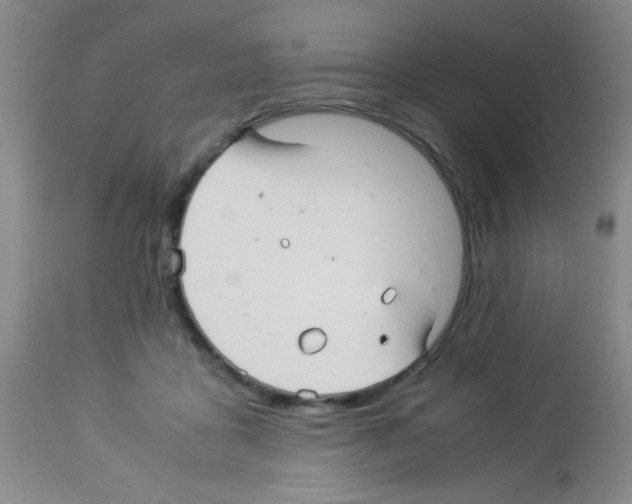 X0000113220411200910221129
