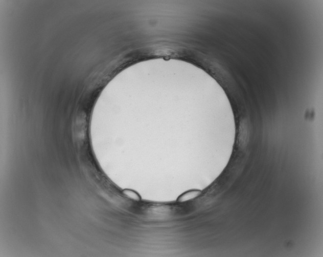 X0000113220413200910221129