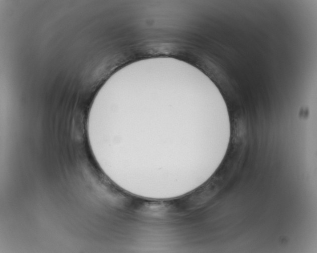 X0000113220414200910221129