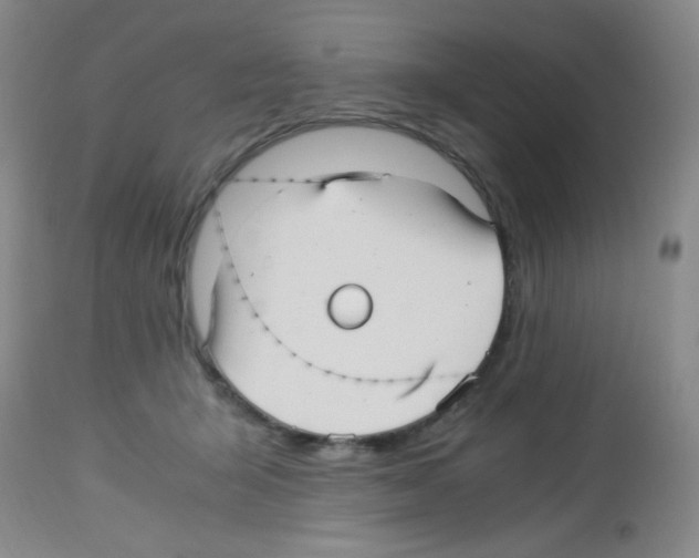 X0000113220415200910221129