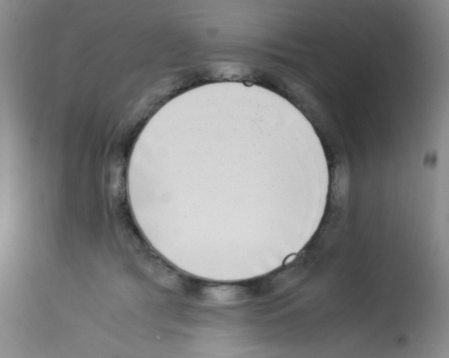 X0000113220417200910221129