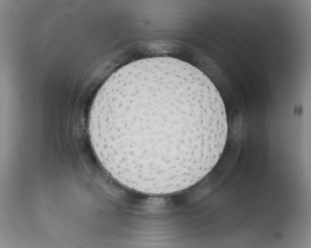 X0000113220418200910221129