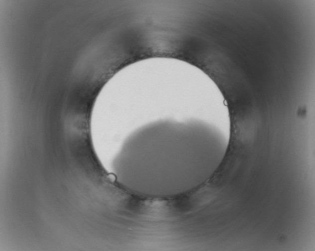X0000113220419200910221129