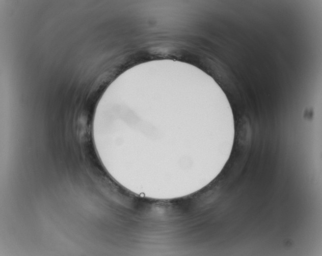 X0000113220420200910221129