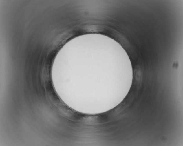 X0000113220422200910221129