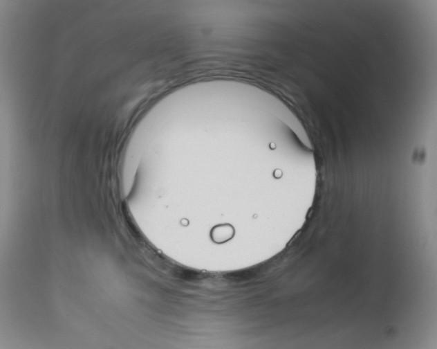 X0000113220423200910221129