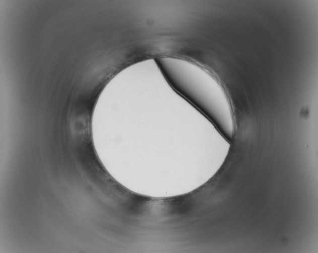 X0000113220425200910221129