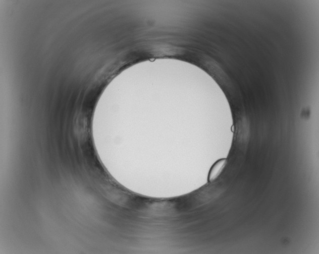 X0000113220426200910221129
