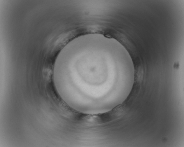 X0000113220427200910221129