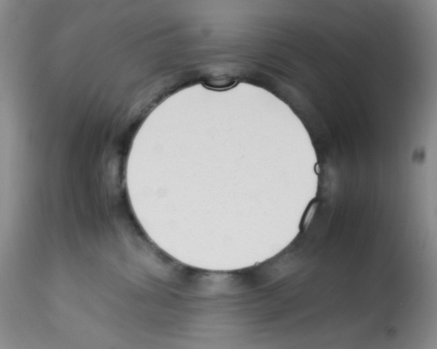 X0000113220428200910221129