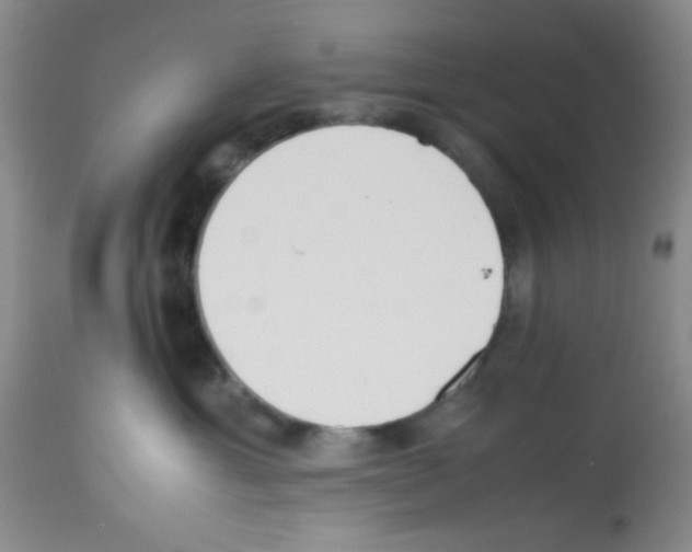 X0000113220429200910221129