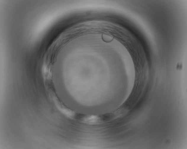 X0000113220431200910221129