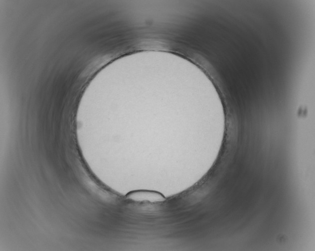 X0000113220433200910221128